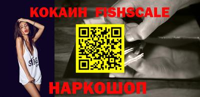 гидра Камышлов