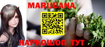 гидра Камышлов