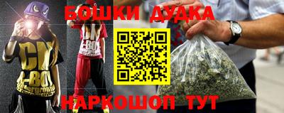 ALPHA PVP Кингисепп