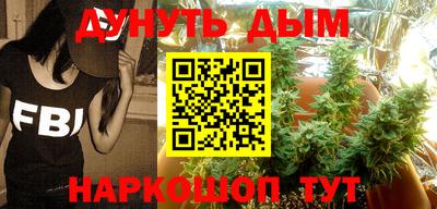 гидра Камышлов
