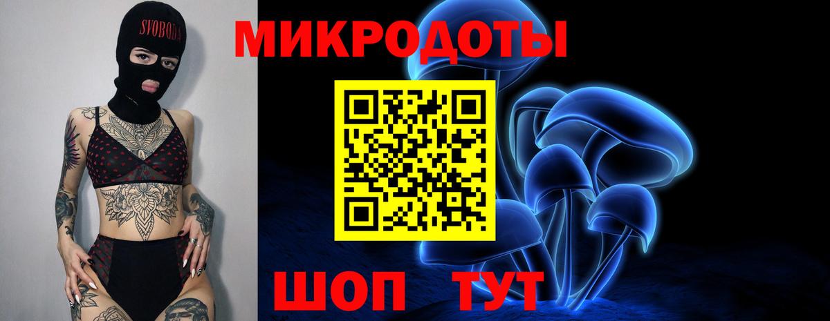Псилоцибиновые грибы Psilocybe  Вход с VPN  Котельники 